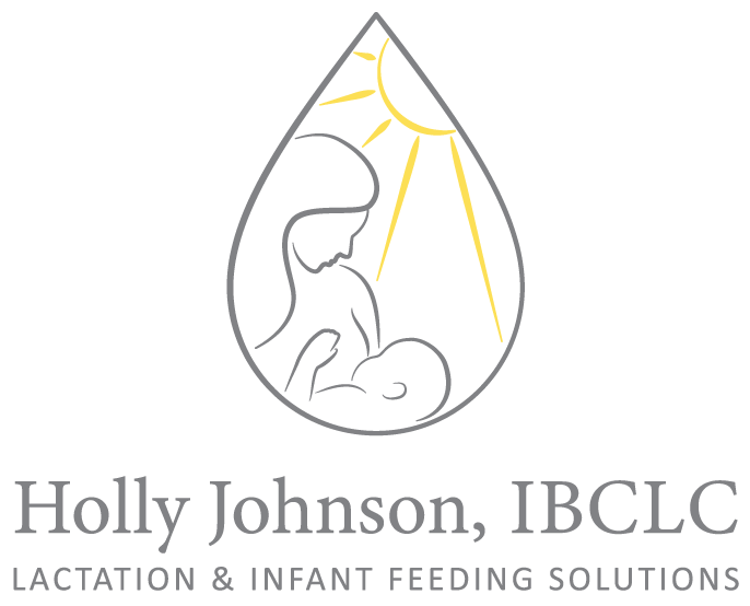 holly-johnson-logo