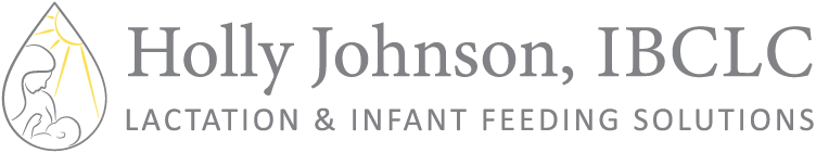 holly-johnson-logo2