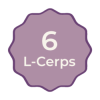 6 L-Cerps